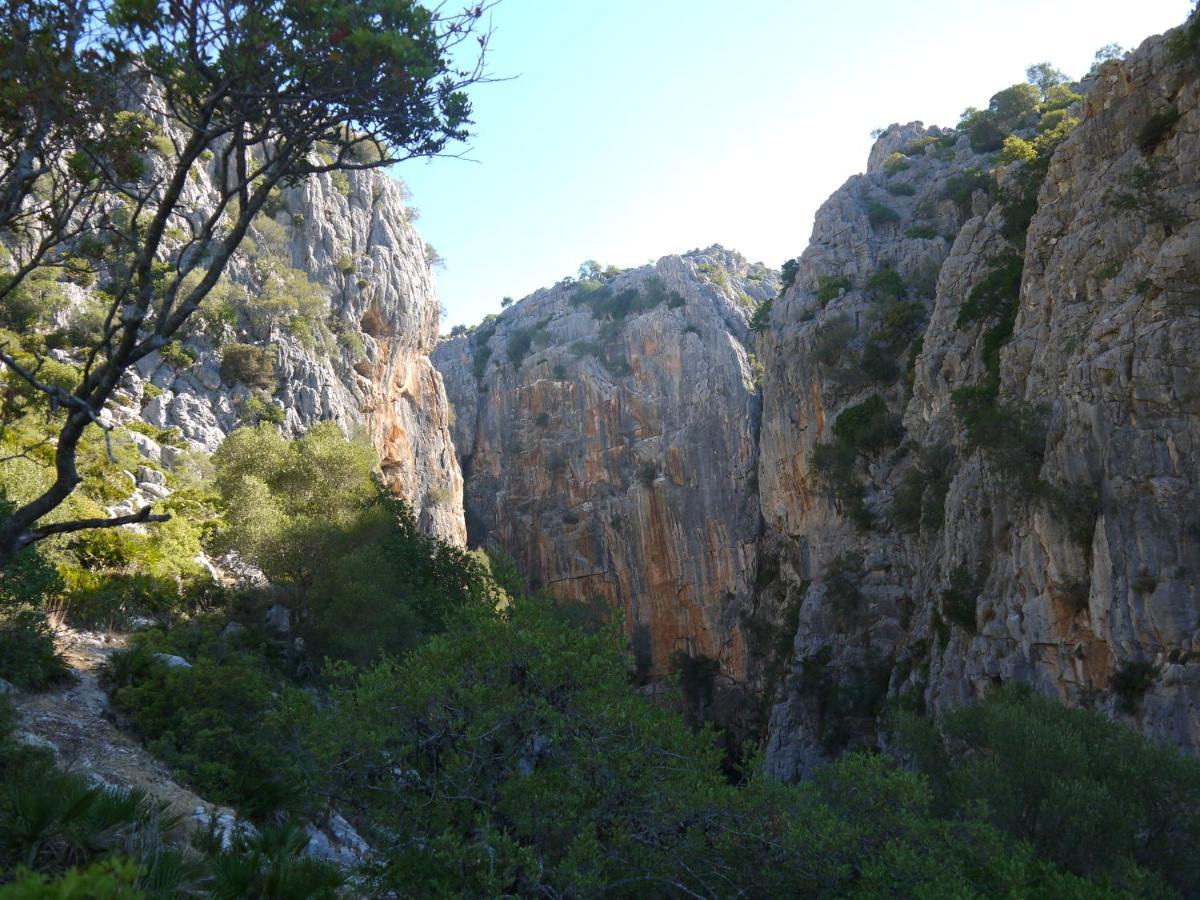 Casa Rural Guadiaro El Colmenar Exteriör bild